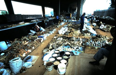 Faraday Mutti Market