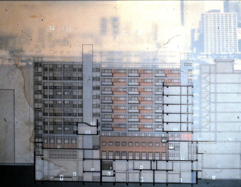 University thesis 1993 – image 14